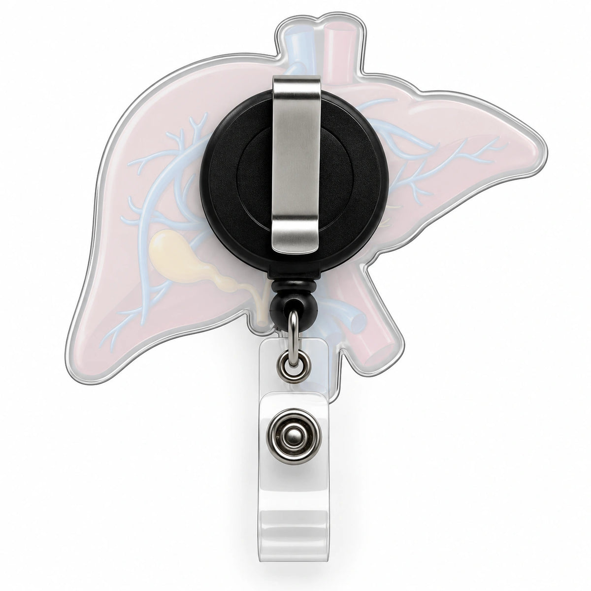 THRADS Liver Anatomy Badge Reel — Acrylic Medical ID Clip — product image 2